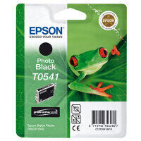 Original Epson T0541 Druckerpatrone Schwarz (foto) (13ml)